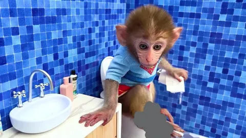 Baby monkey Bon Bon go to the toilet and play with the puppy in the garden